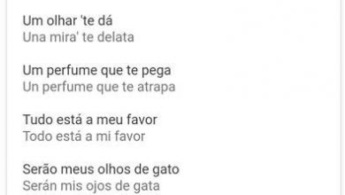 google tradução musica