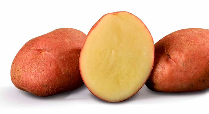 batata