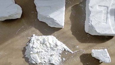 Polícia Federal apreende meia tonelada de cocaína pura 6 Cocaína de alta pureza