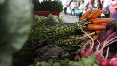 Feira do Alimento Saudavel segue acontecendo aos sabados