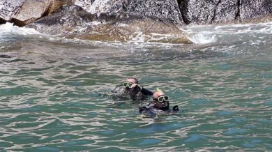Limpeza dos Mares Ilha das Gales 27.11 1