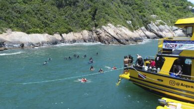 Limpeza dos Mares Ilha das Gales 27.11 3