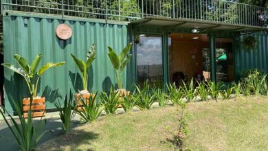 Reserva Ecológica de Estância Velha amplia horário de visitação 5 matinho estancia velha