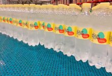Agua da Pedra abacaxi com hortela