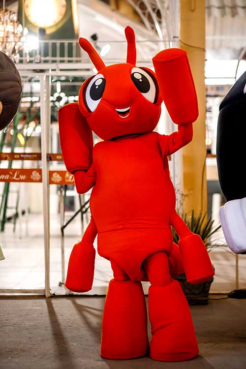 Pelotas se prepara para a mágica 32ª Fenadoce 3 Mascote da Fenadoce foto por Alair Junior